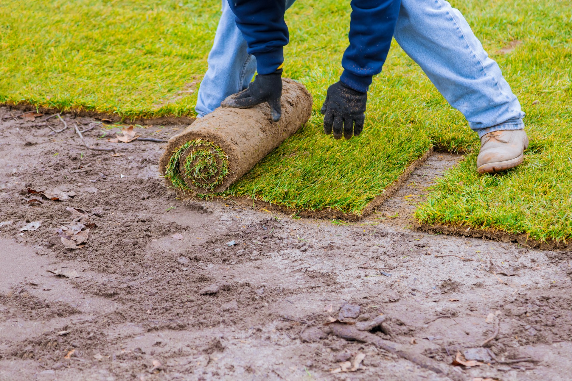 The Role of Soil Amendments in Sod Installation