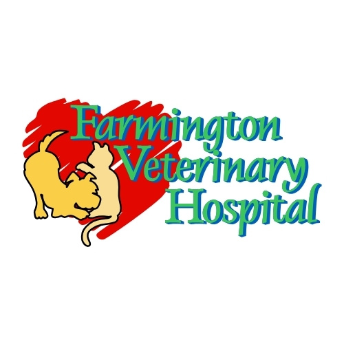 Farmington Veterinary Hospital – Veterinarian in Farmington, NY