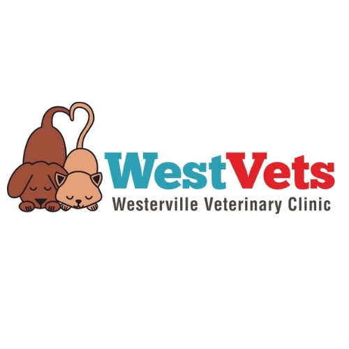 Compassionate vet care in Westerville, OH