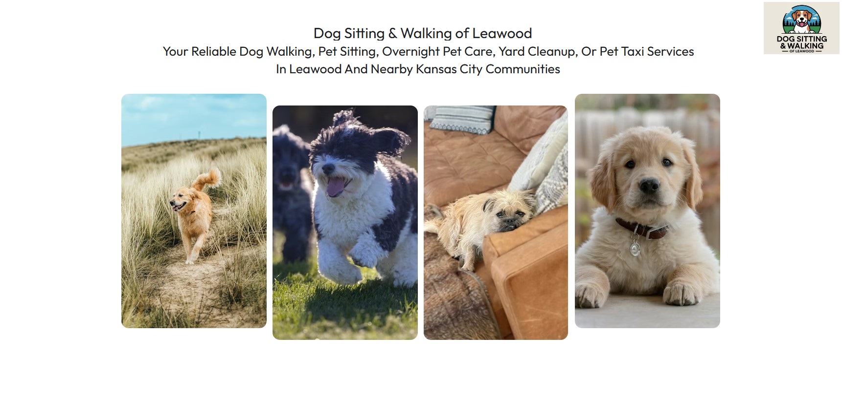 Dog Sitting & Walking of Leawood