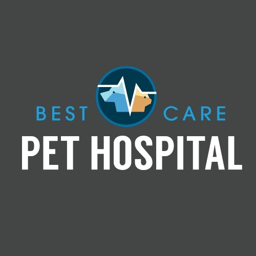 Best Care Pet Hospital – Veterinarian in Sioux Falls, South Dakota