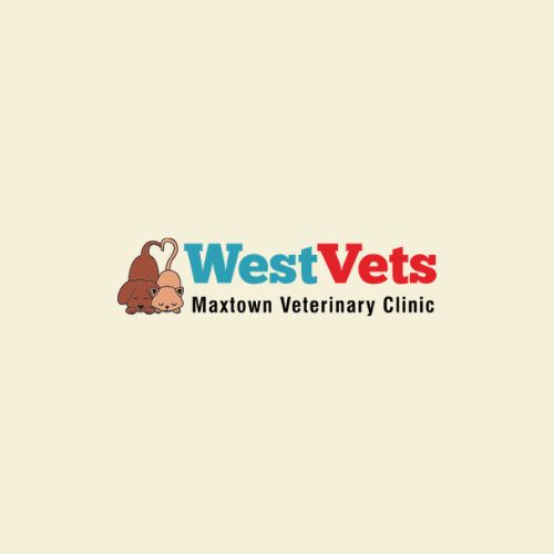 WestVets Maxtown Veterinar Clinic