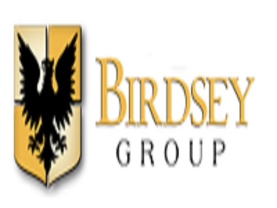 The Birdsey Group LLC